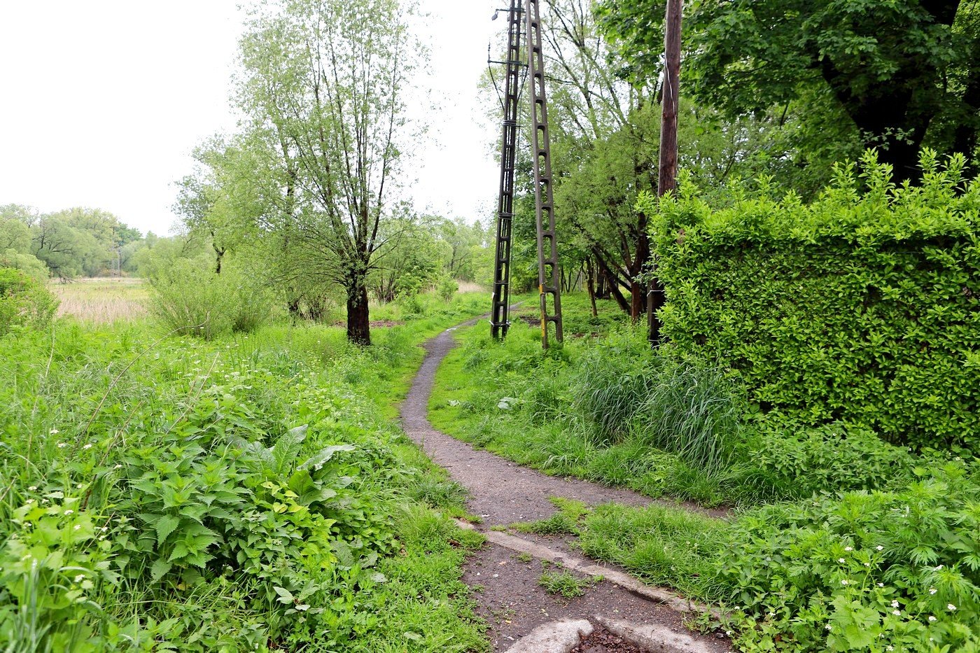 przetarg-na-budowe-drogi-pieszorowerowej-87519