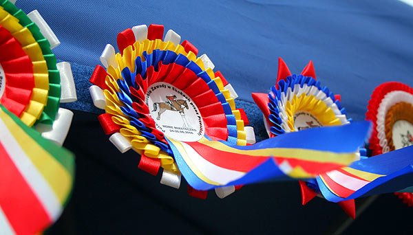 promocja-targiem-8752