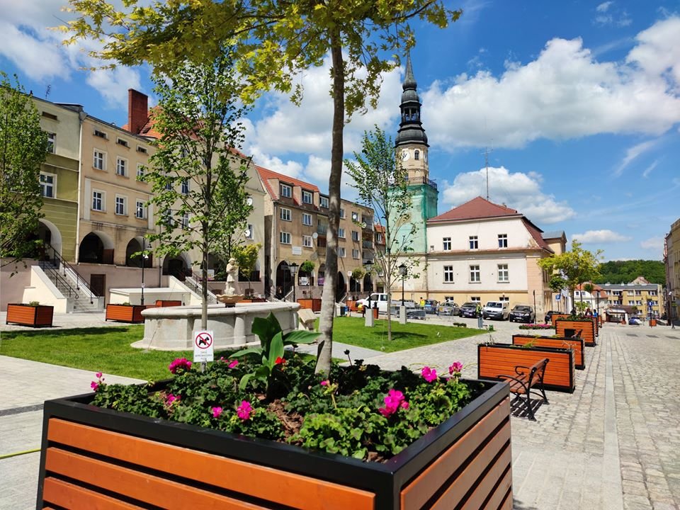 ukwiecenie-bolkowskiego-rynku-87569