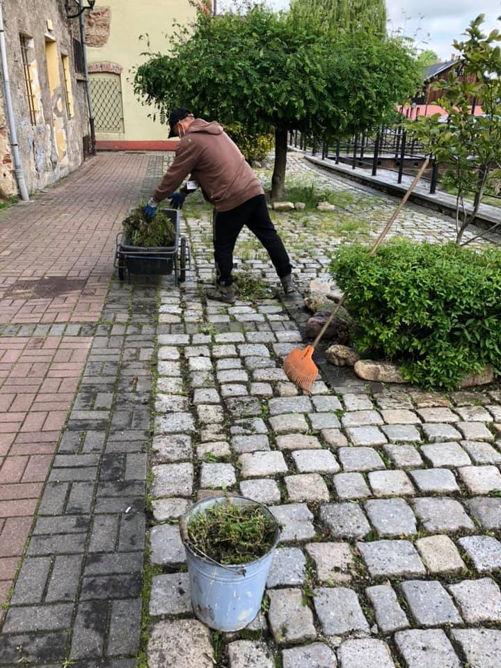 zielenieja-kowary-87581