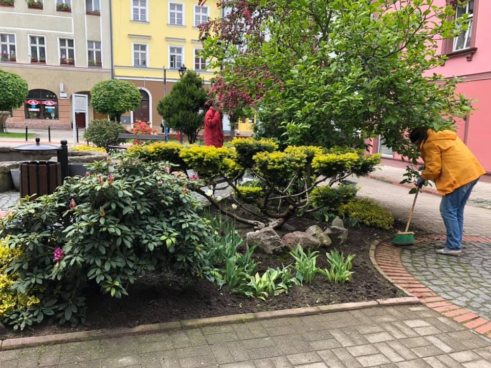 zielenieja-kowary-87581