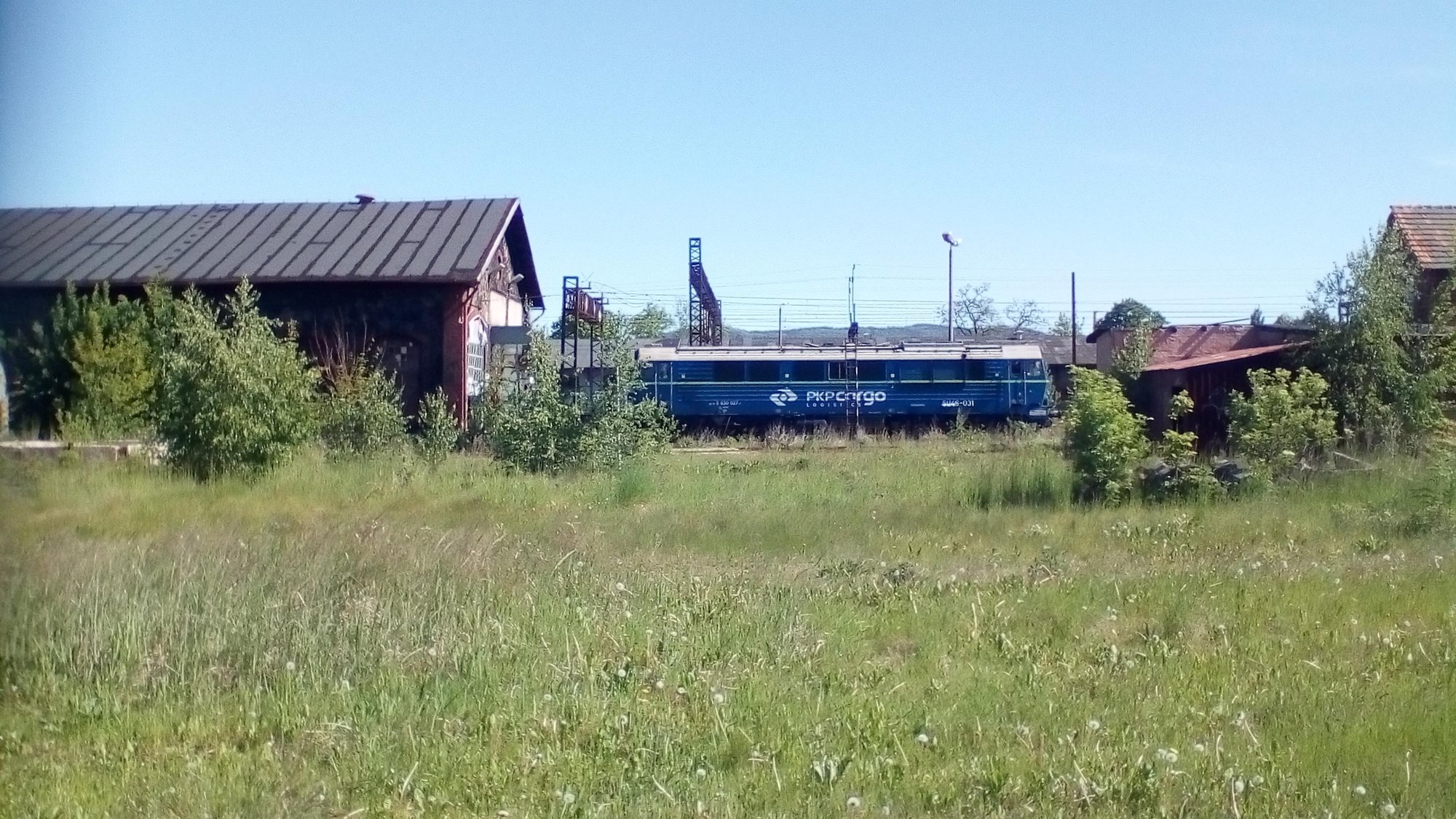 co-pkp-cargo-zrobi-z-lokomotywa-87629
