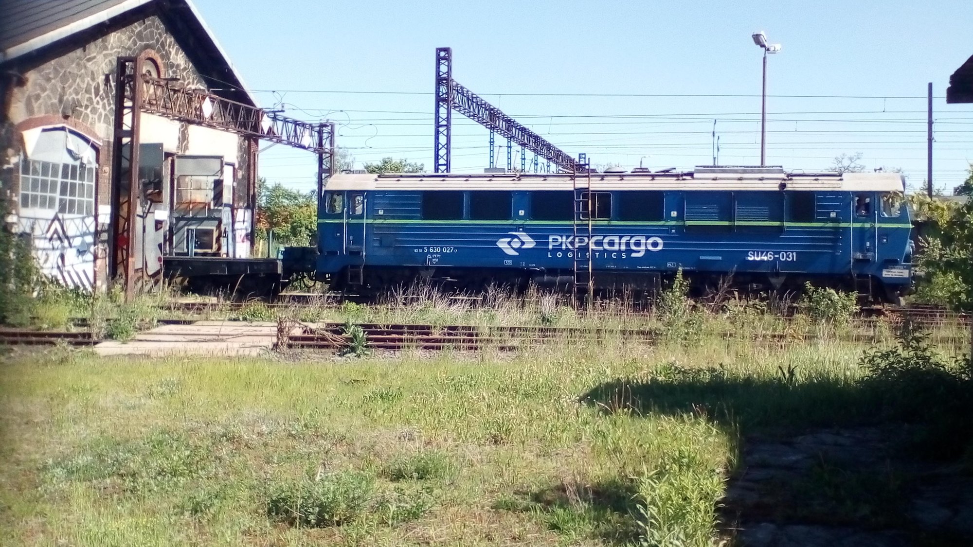 co-pkp-cargo-zrobi-z-lokomotywa-87629