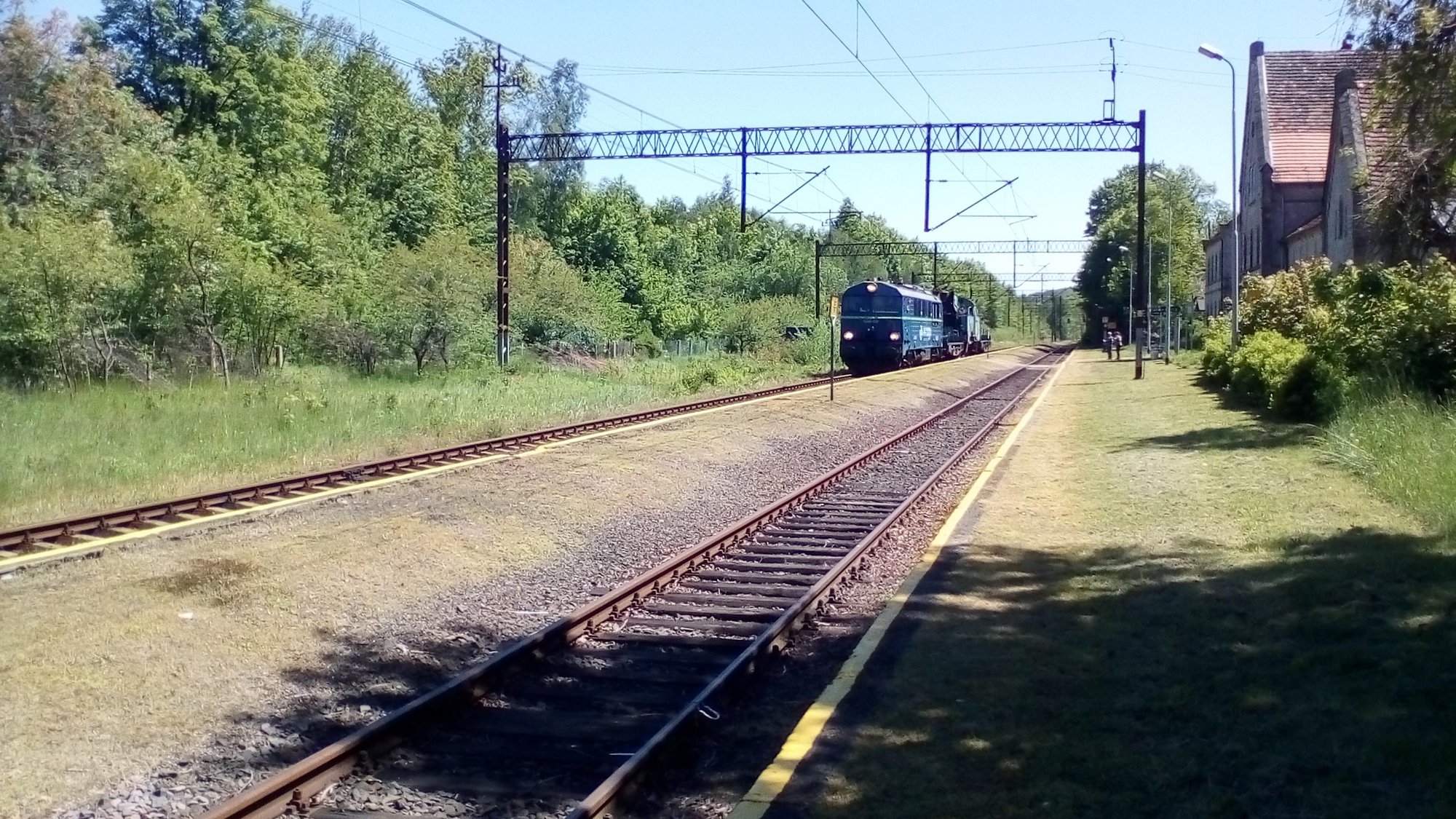 co-pkp-cargo-zrobi-z-lokomotywa-87629