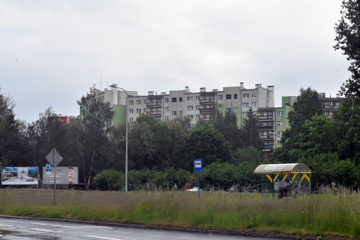 kosic-czy-nie-kosic-87638