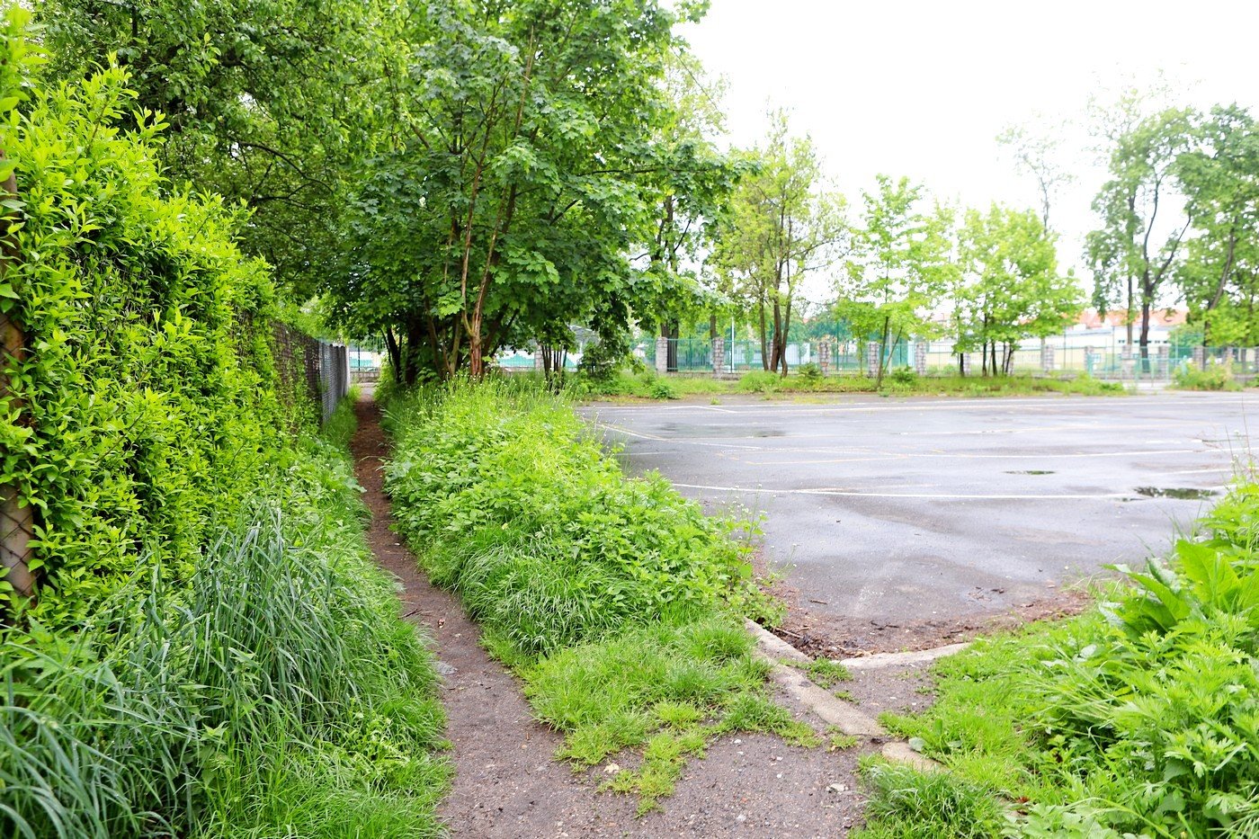 znacznie-tansza-oferta-w-przetargu-87685