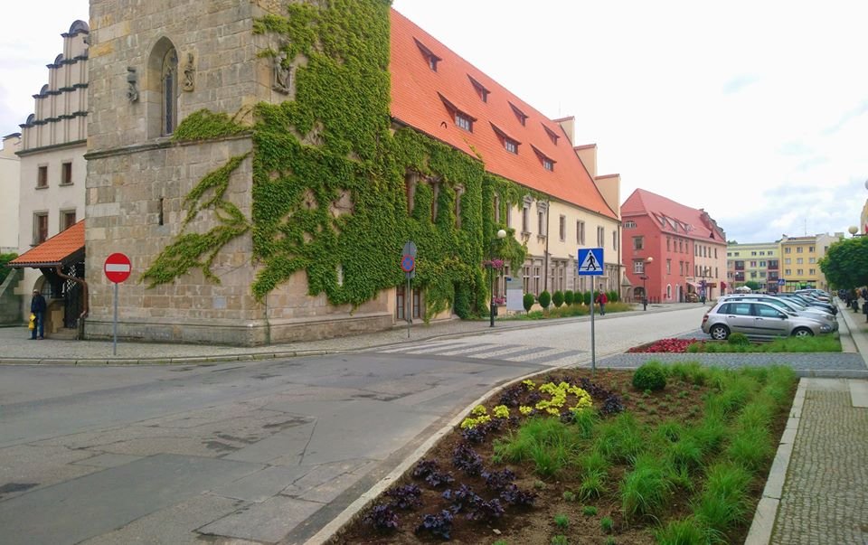 zielony-rynek-w-lwowku-slaskim-87752