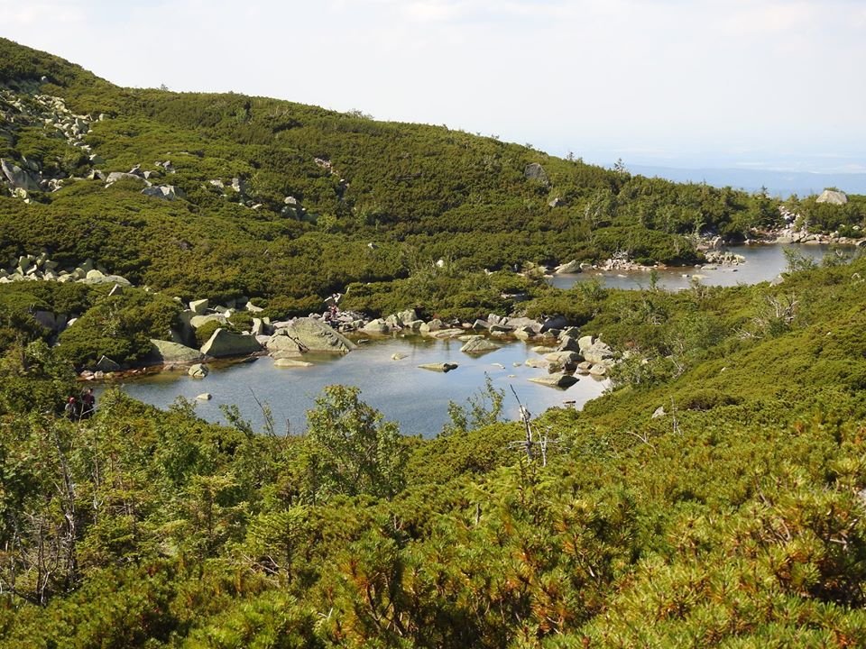 gory-szerzej-otwarte-87806