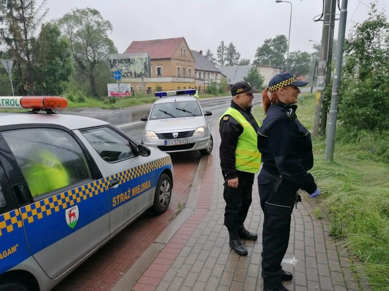 straznicy-miejscy-pomogli-rannemu-bocianowi-87976