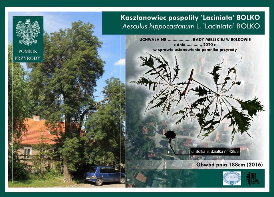 jest-pomnik-przyrody-88207