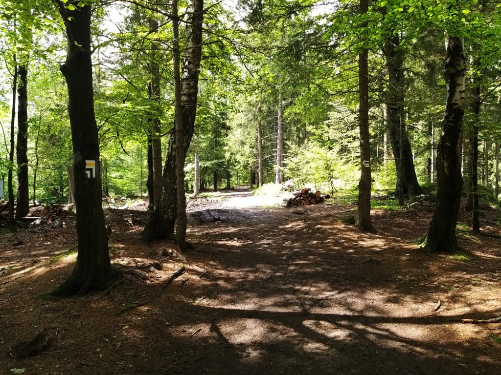 przez-izery-po-trojkacie-88226