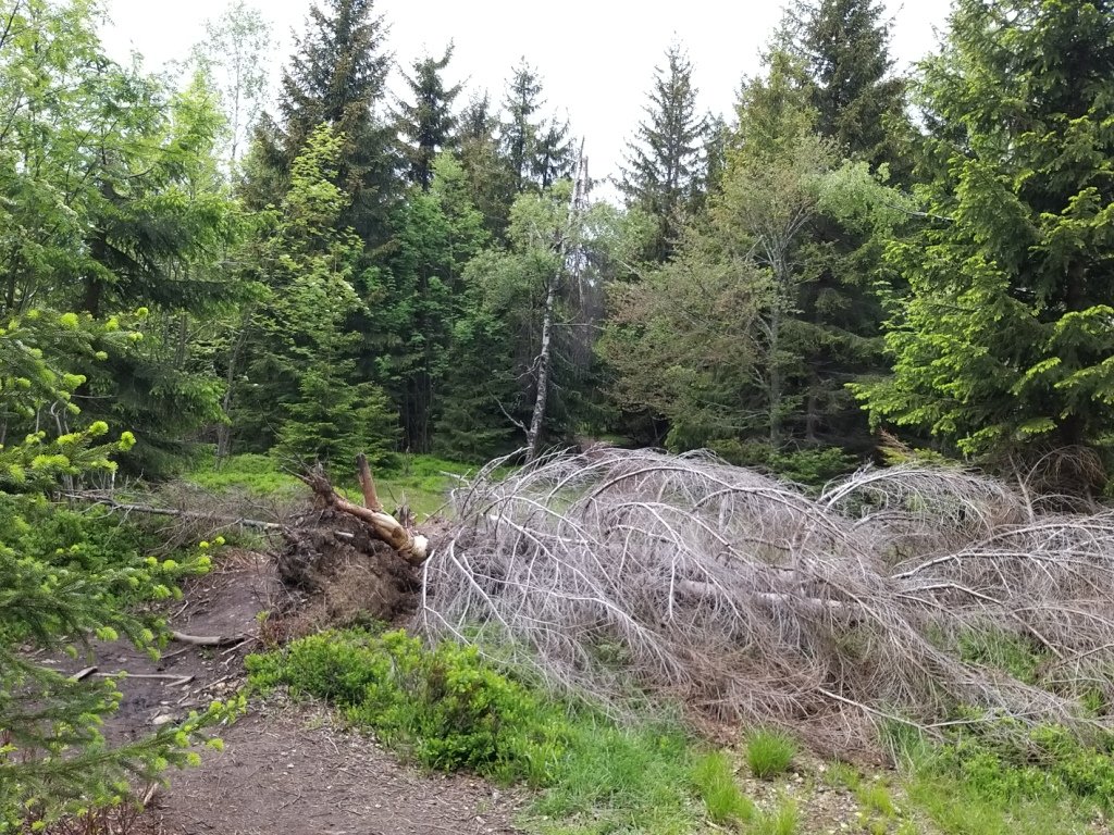 przez-izery-po-trojkacie-88226