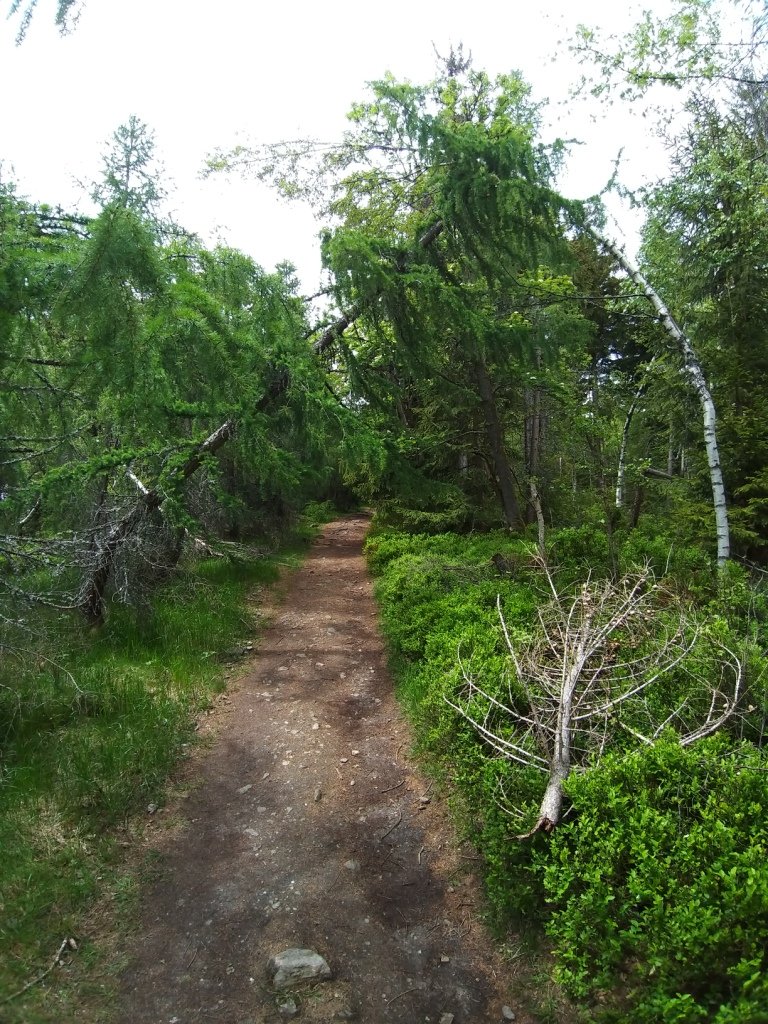 przez-izery-po-trojkacie-88226