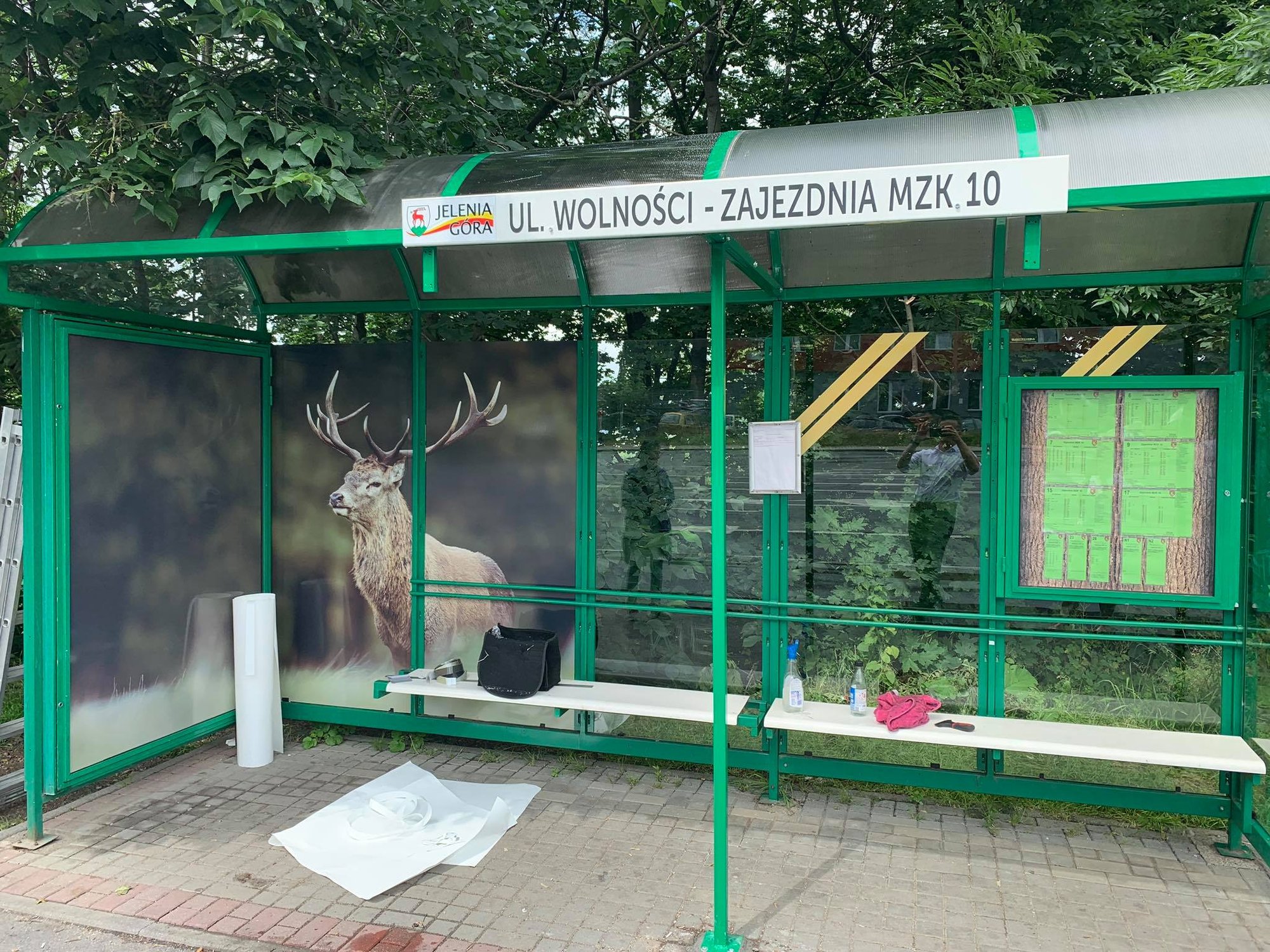 zielony-przystanek-88228