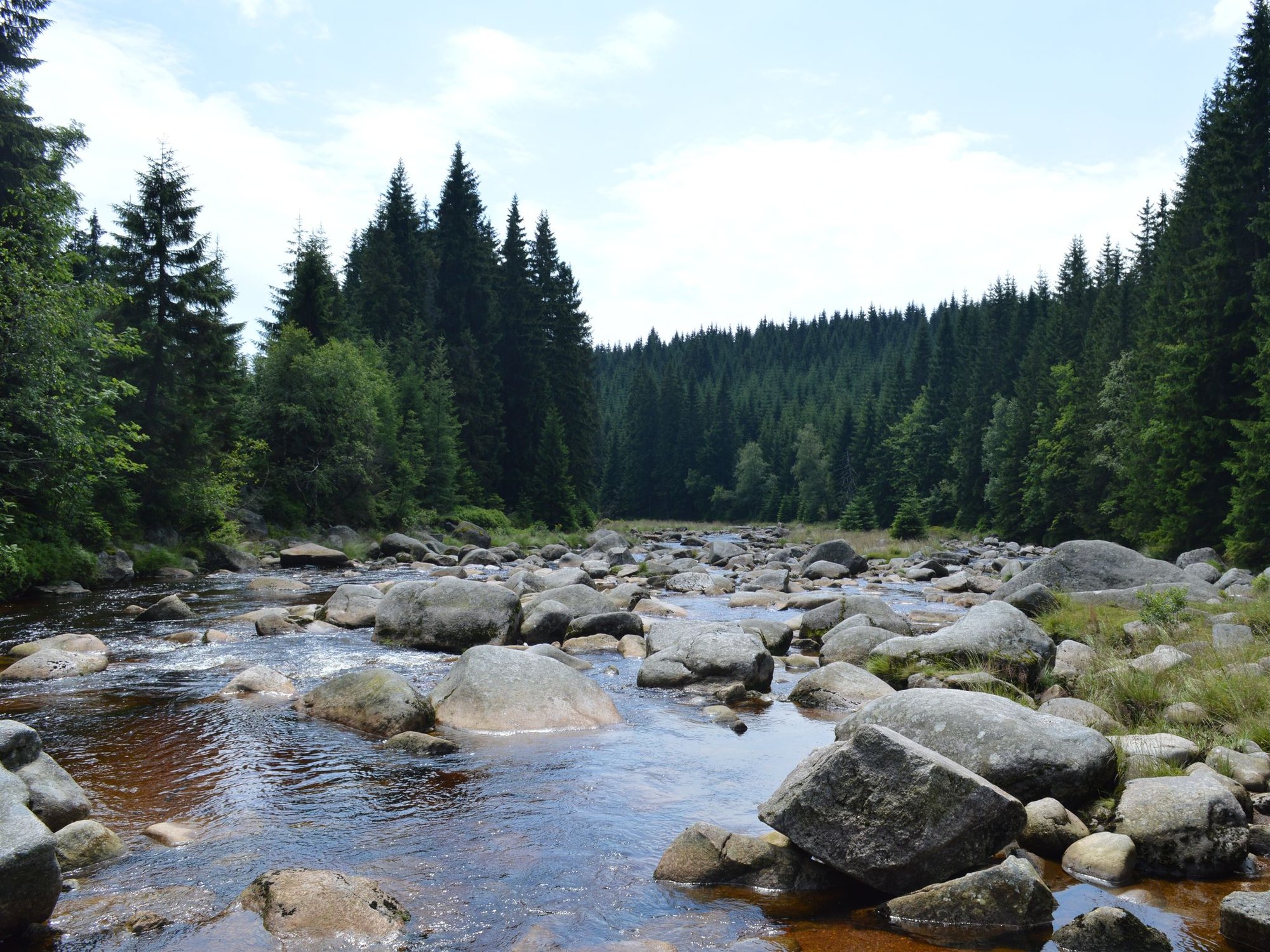 most-do-rozbiorki-88240
