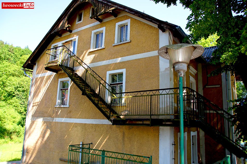 likwidacja-schroniska-88350