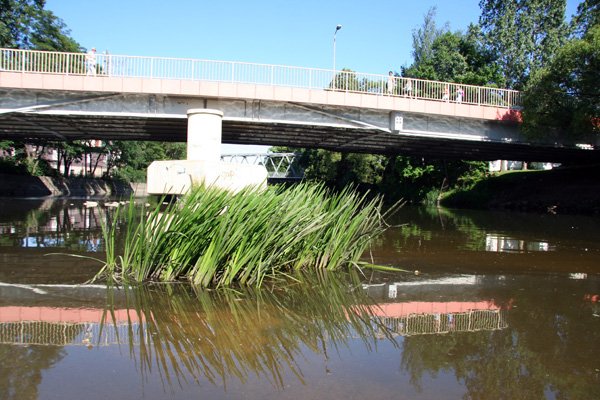 niegrozna-posucha-888