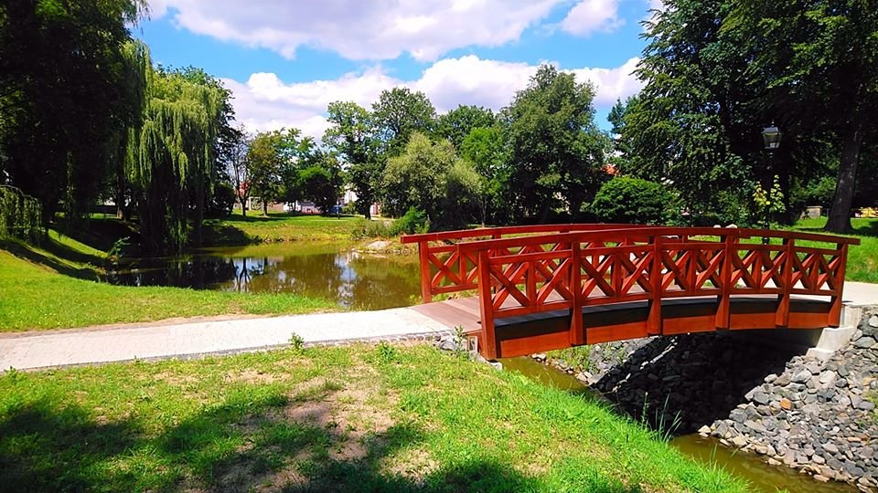 pieknieje-lwowecki-park-miejski-89201