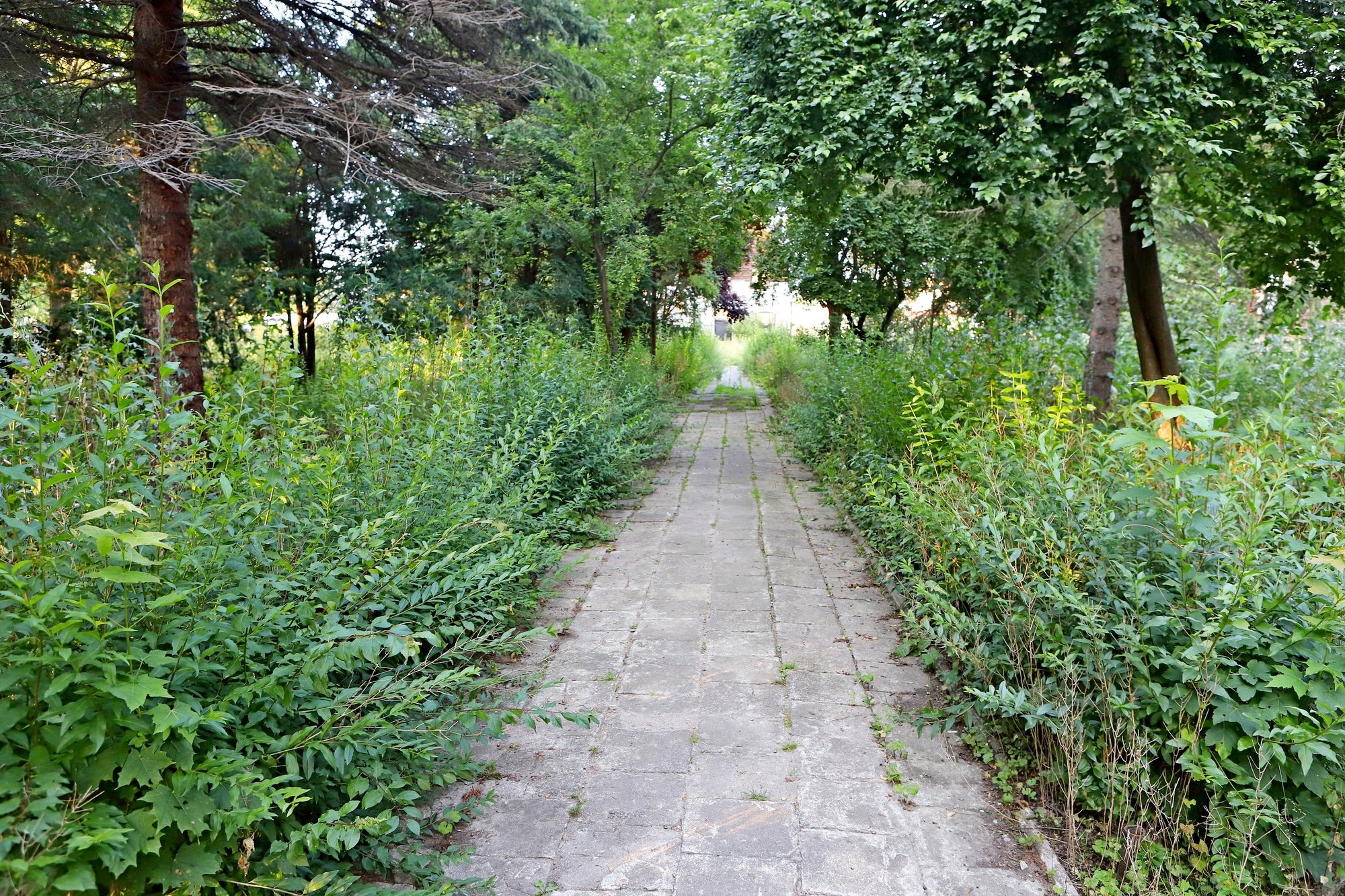 bedzie-nowa-siedziba-odk-89219