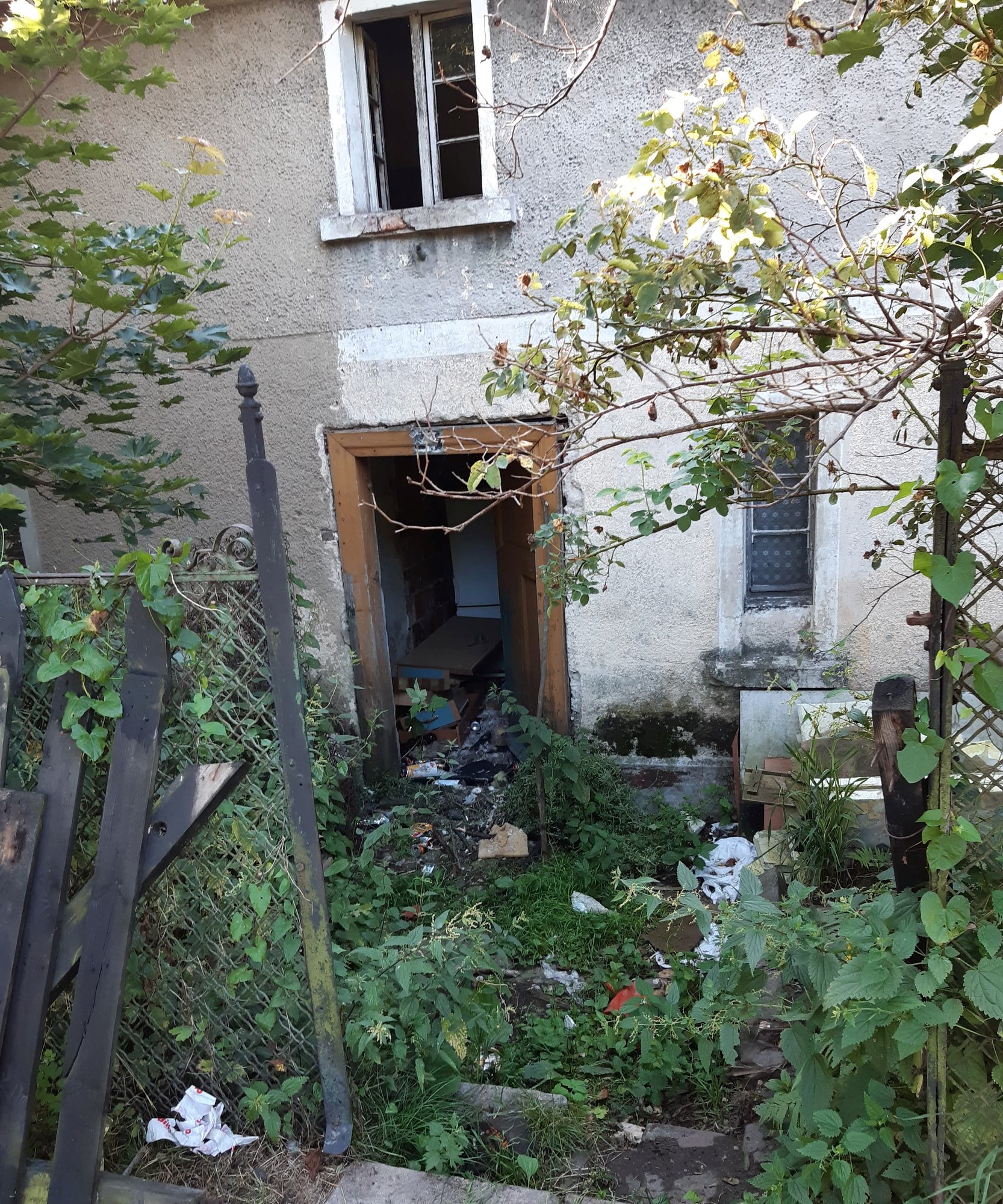 obroncy-zwierzat-kontra-janowicki-magistrat-89226