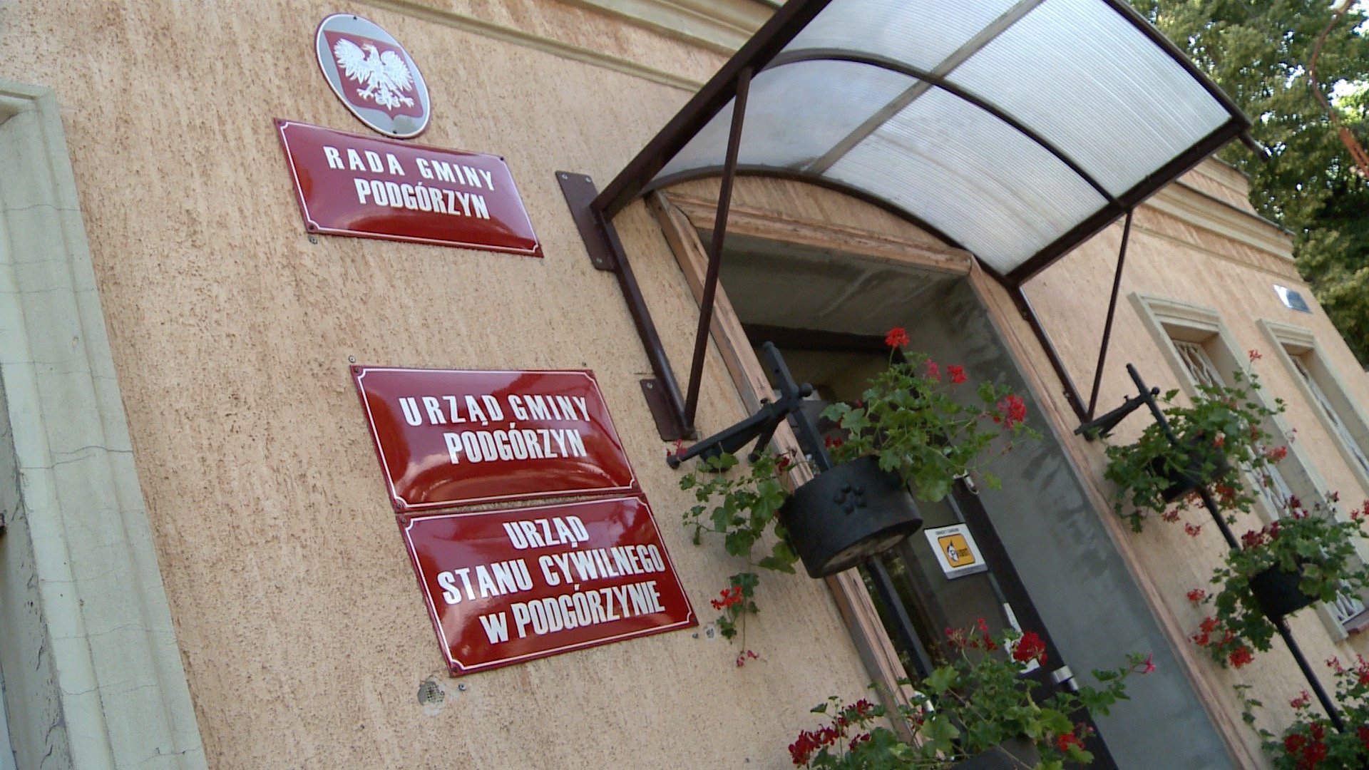 kswik-bez-podgorzyna-89319