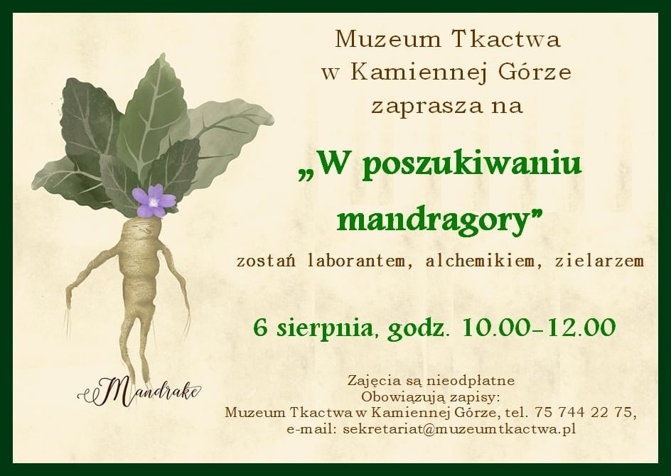 w-poszukiwaniu-mandragory-89325