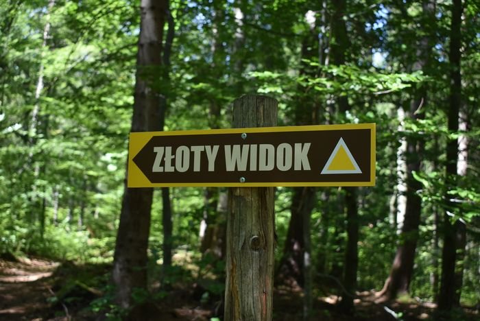 piekne-widoki-ze-zotego-widoku-89348