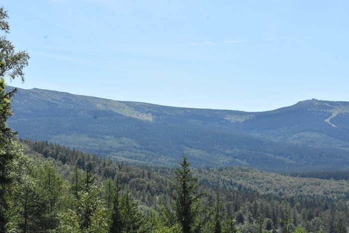 piekne-widoki-ze-zotego-widoku-89348