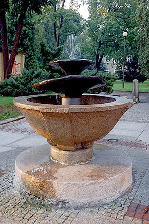 tryska-tulipan-8952