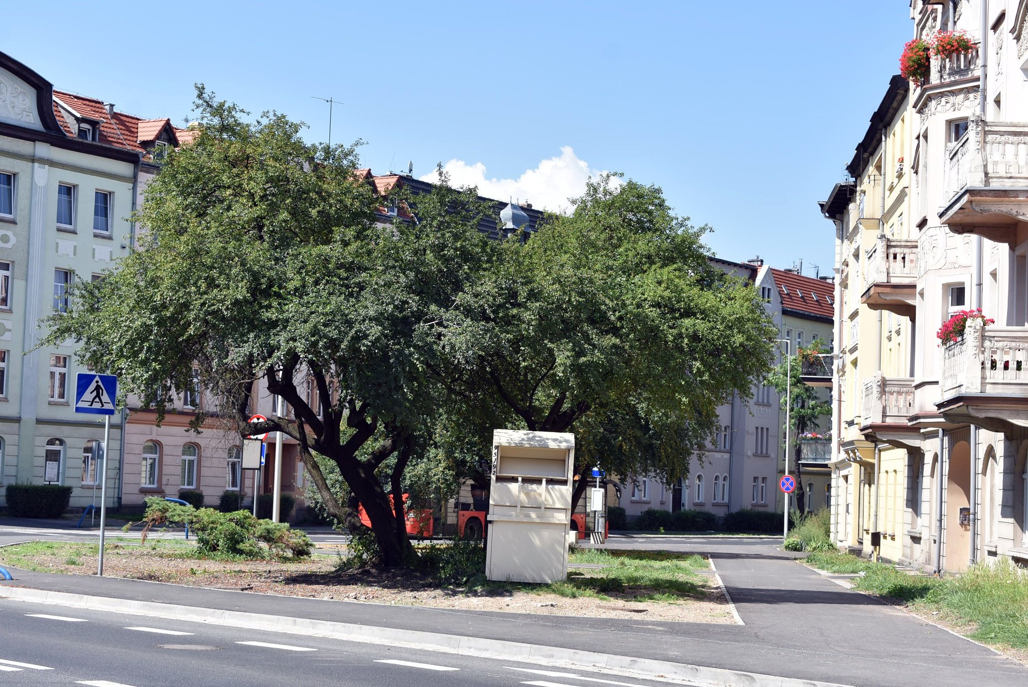 mieszkancy-chca-miododajnego-skweru-89617