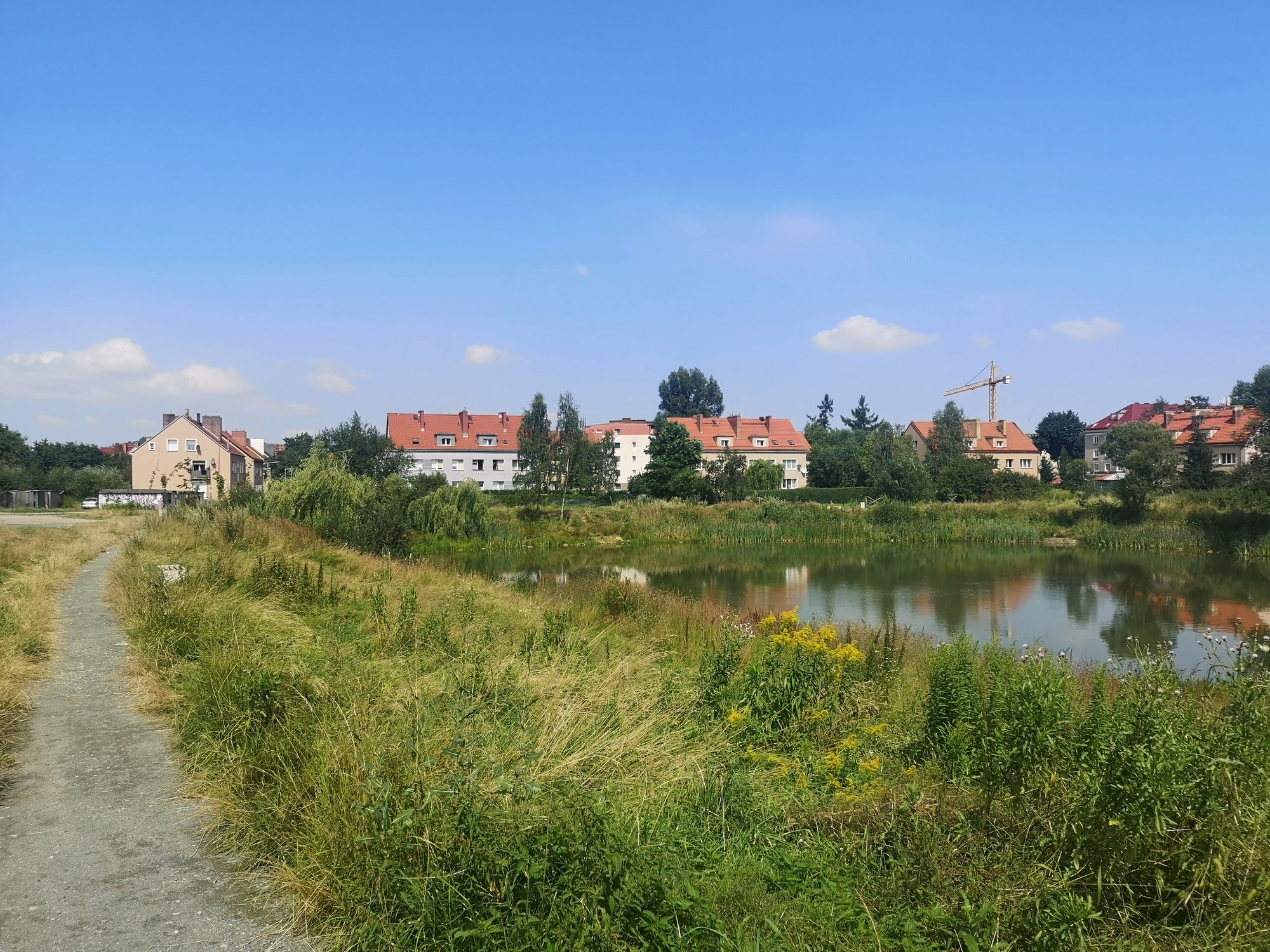 szybko-zapomniany-staw-89657