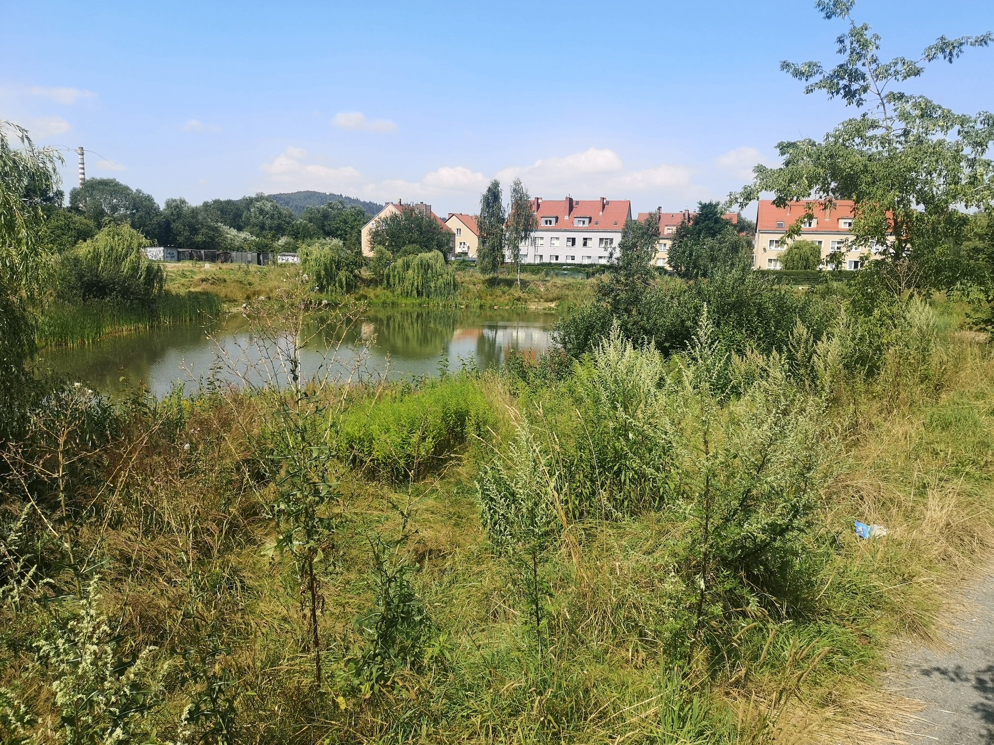 szybko-zapomniany-staw-89657
