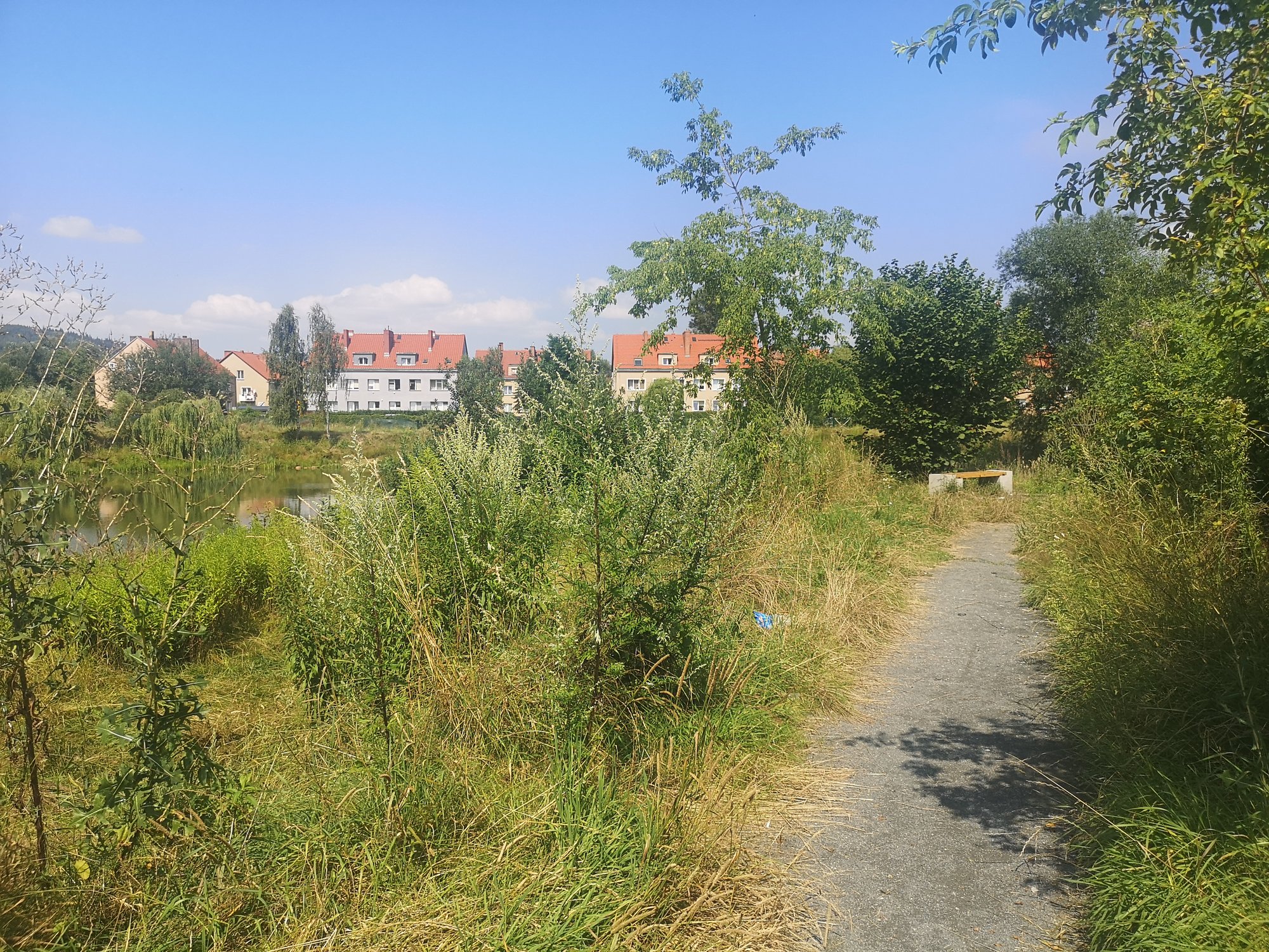 szybko-zapomniany-staw-89657