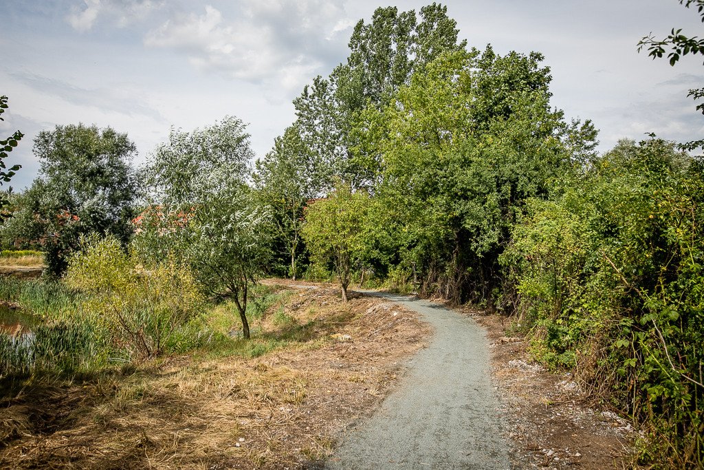 szybko-zapomniany-staw-89657
