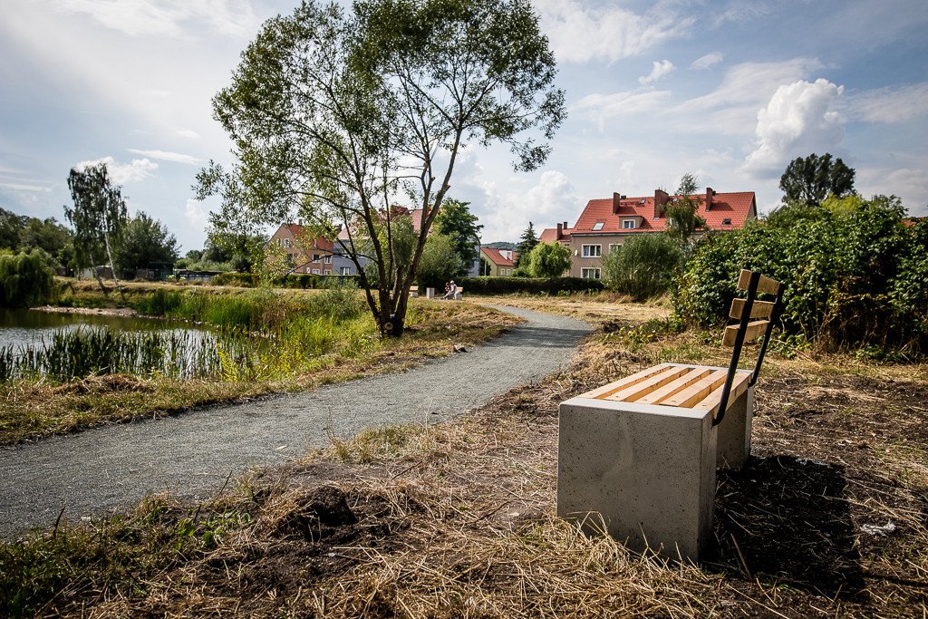 szybko-zapomniany-staw-89657