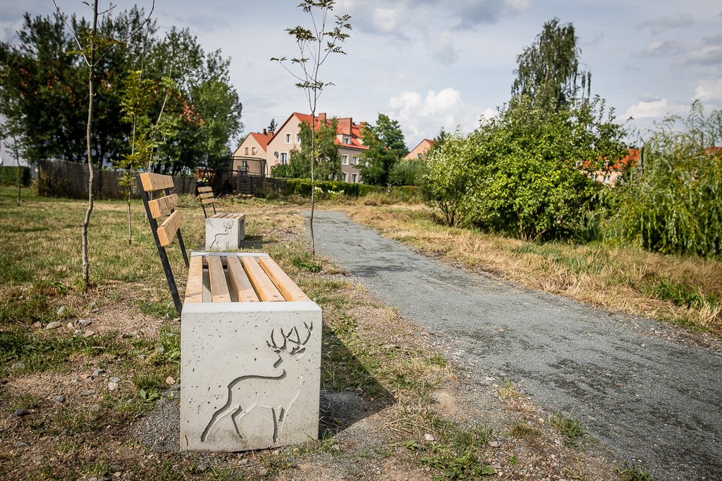 szybko-zapomniany-staw-89657