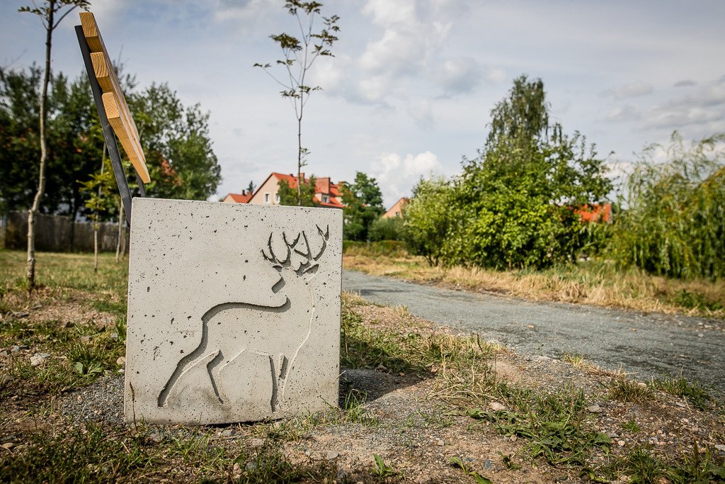 szybko-zapomniany-staw-89657