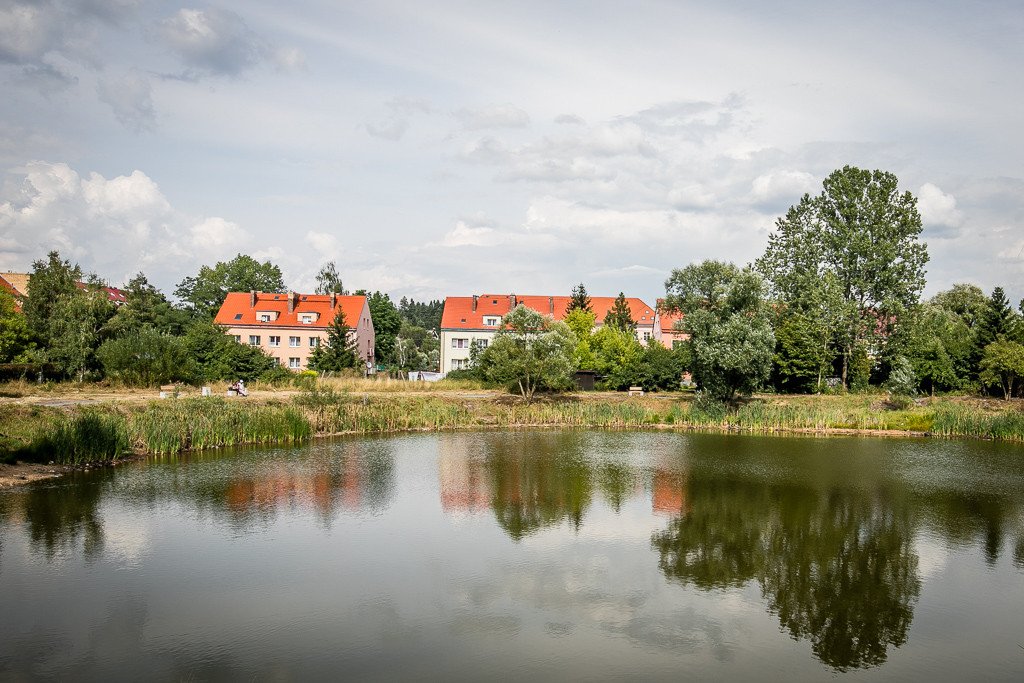 szybko-zapomniany-staw-89657