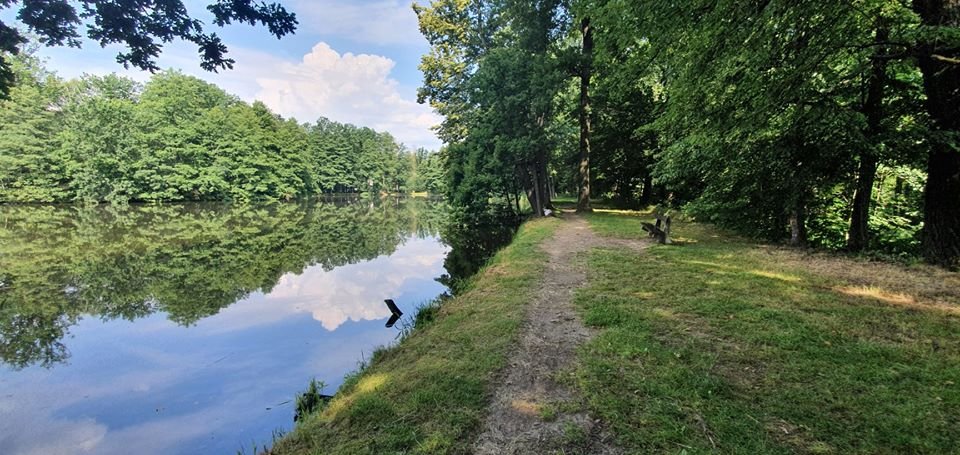 trwaja-porzadki-w-mysakowicach-89750