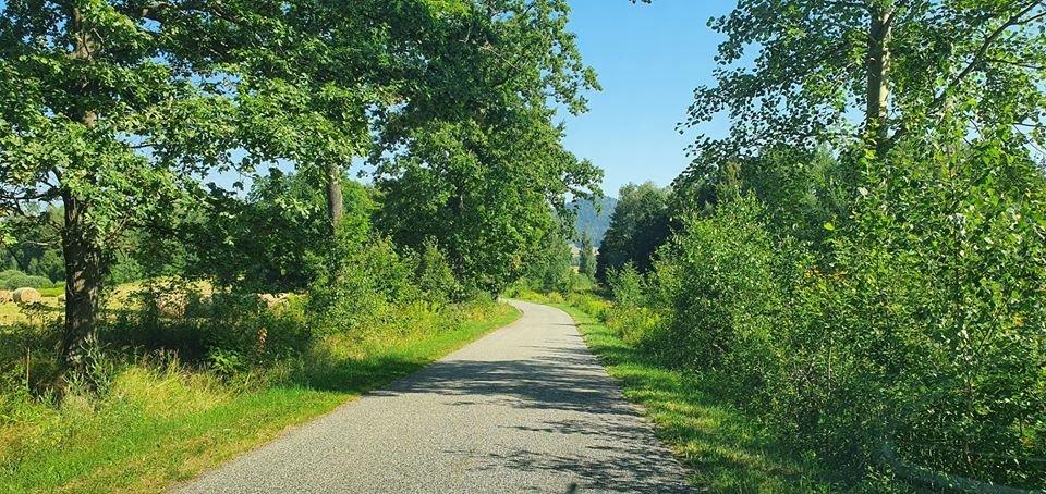 trwaja-porzadki-w-mysakowicach-89750