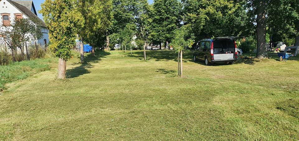 trwaja-porzadki-w-mysakowicach-89750