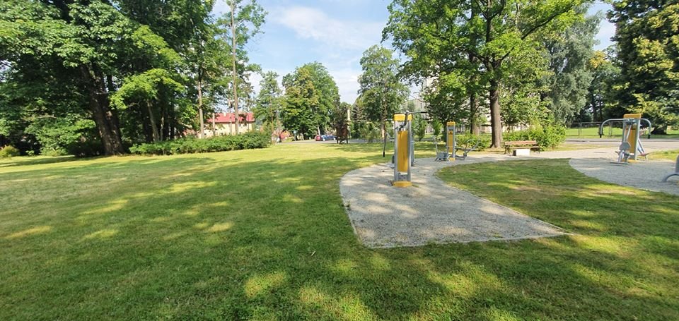 trwaja-porzadki-w-mysakowicach-89750