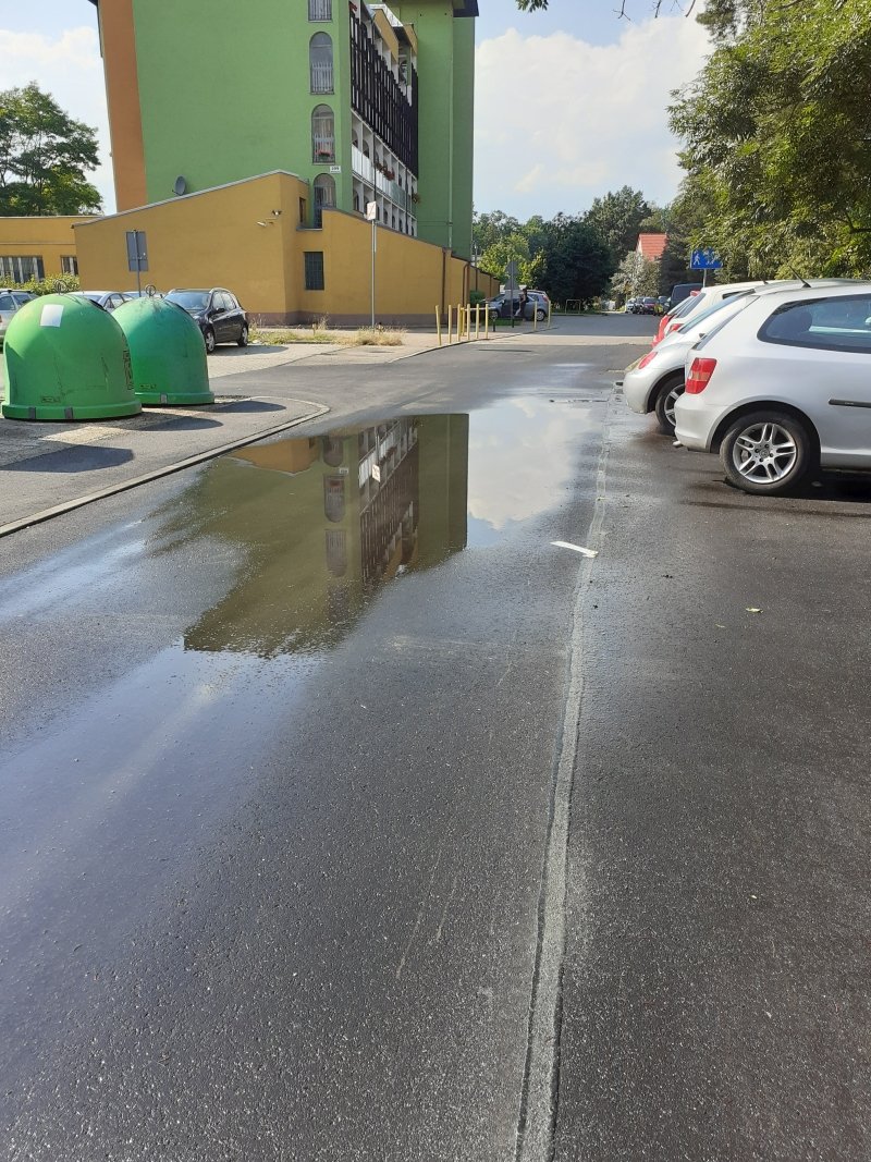 czytelnik-po-co-tyle-kopert-89923