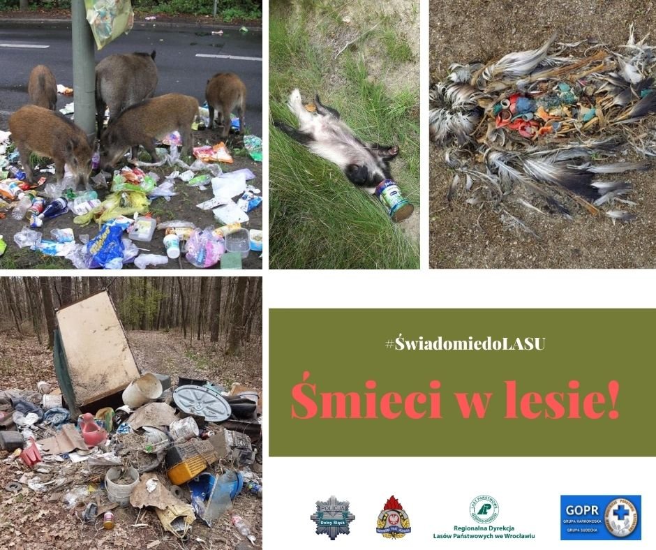smieci-i-wandale-atakuja-lasy-90004