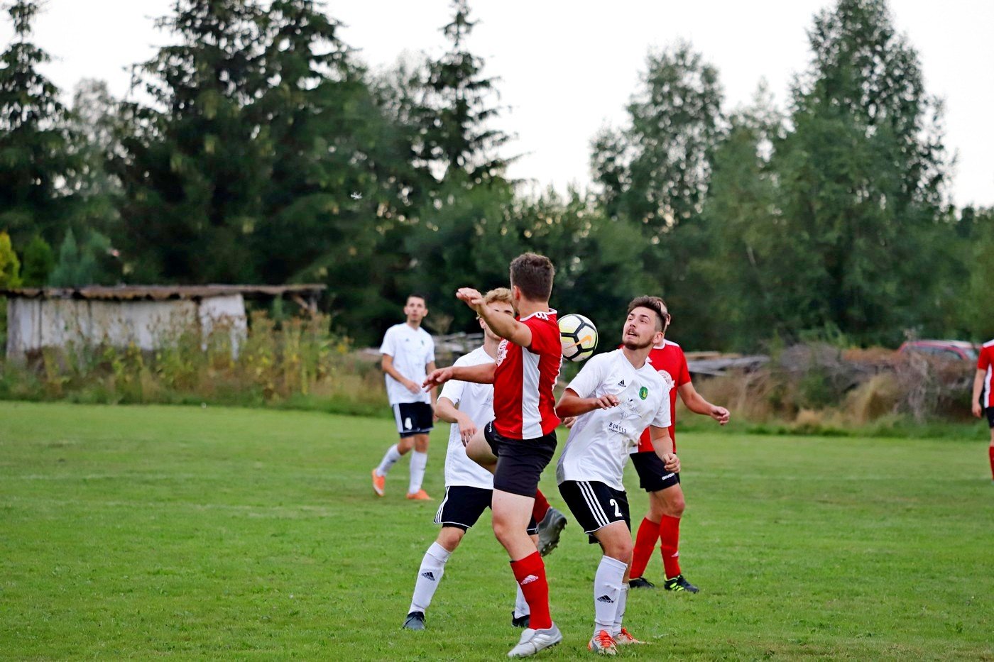 za-niskie-loty-ora-pub-gol-zwycieski-90059