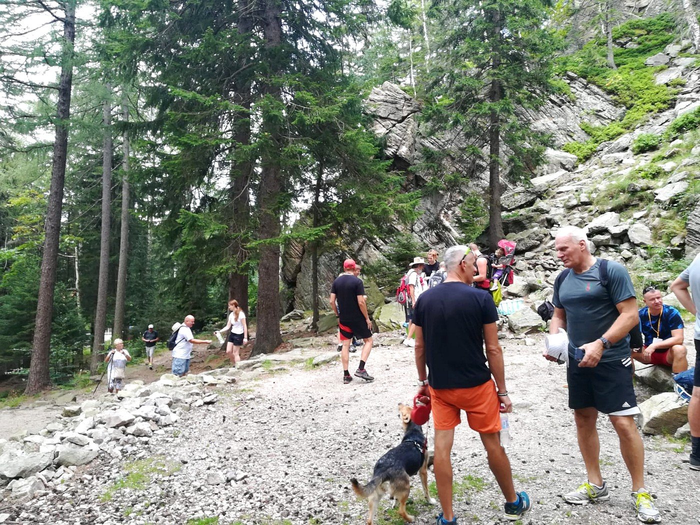 marsz-osobliwosci-do-budnik-90161