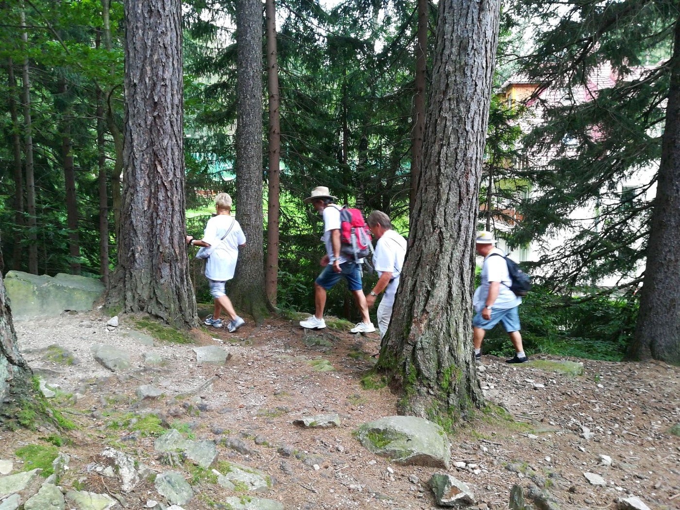 marsz-osobliwosci-do-budnik-90161