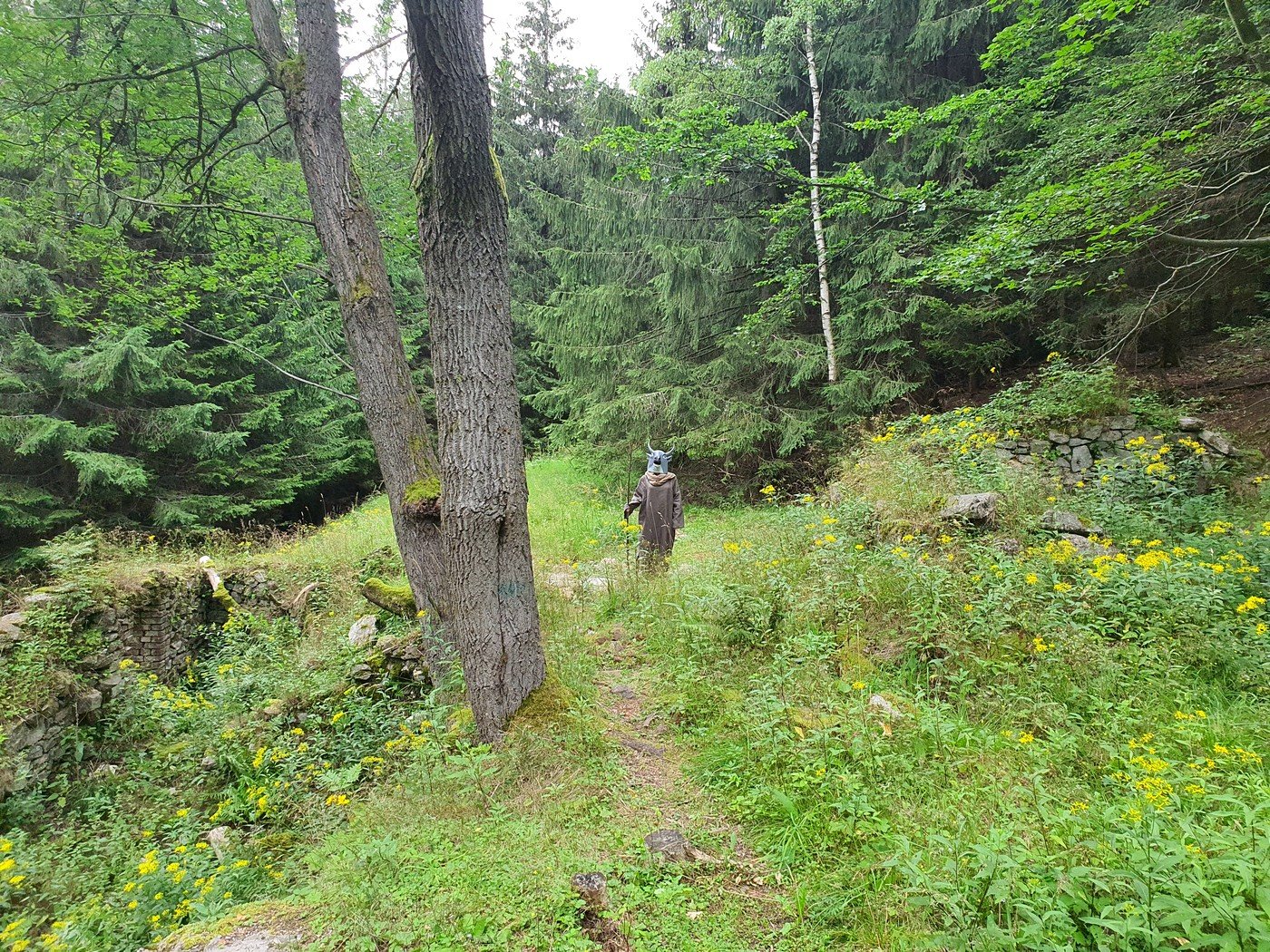 marsz-osobliwosci-do-budnik-90161