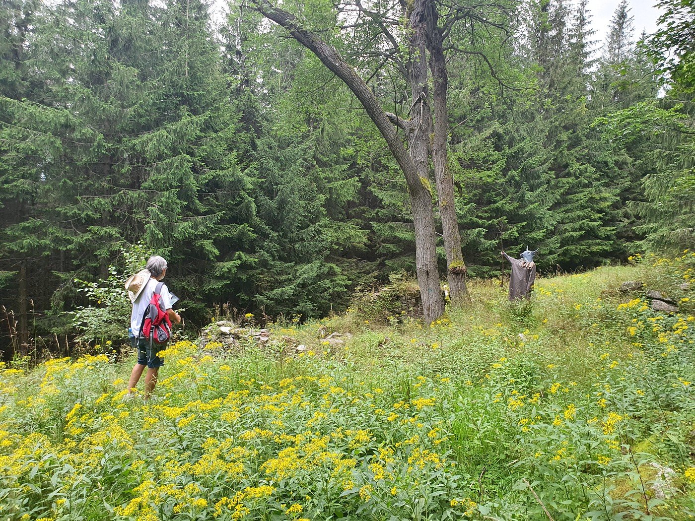 marsz-osobliwosci-do-budnik-90161