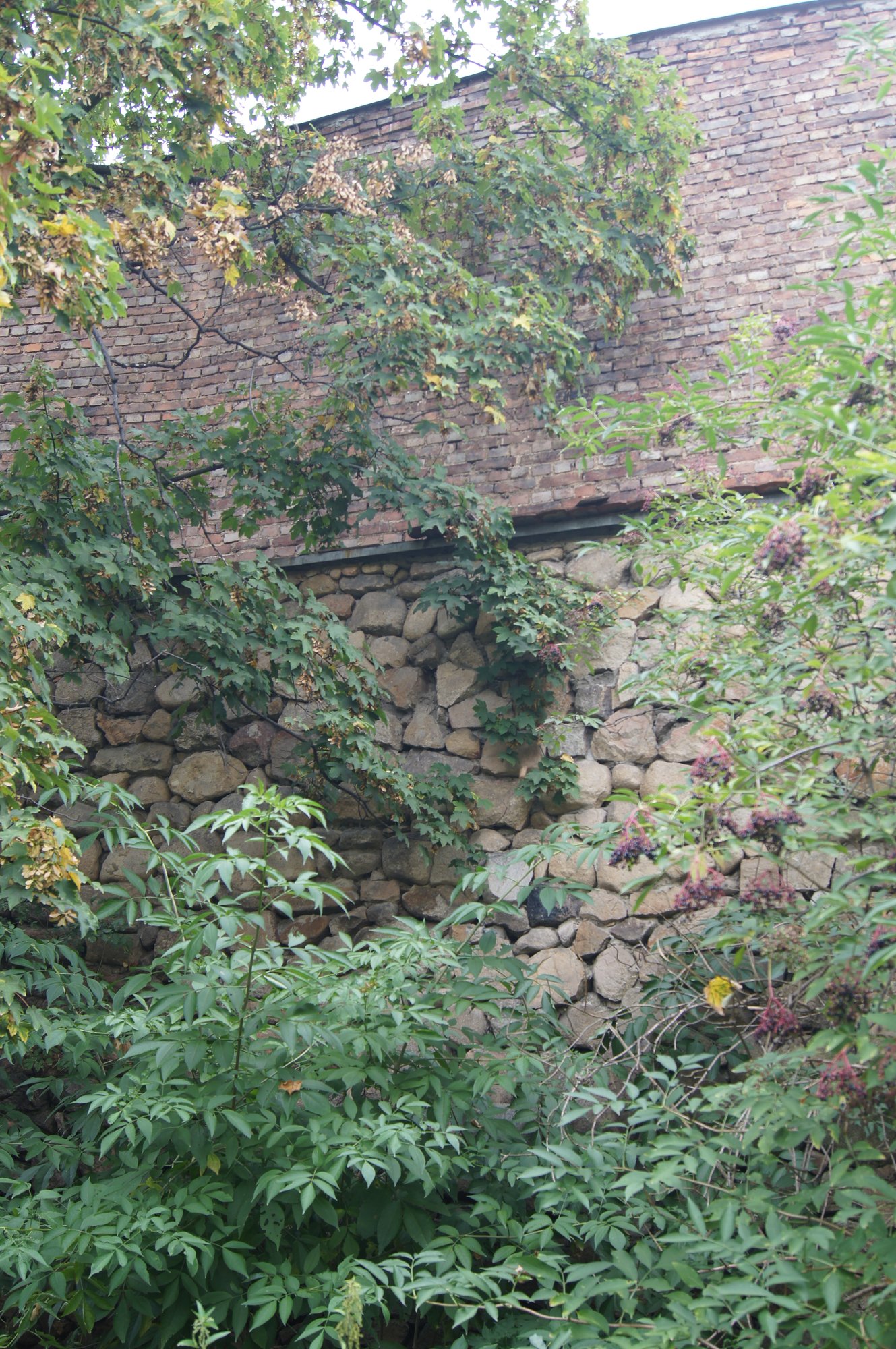 Fragment muru przy ulicy Fortecznej